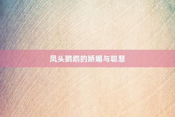 凤头鹦鹉的娇媚与聪慧